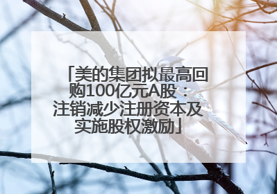 美的集团拟最高回购100亿元A股：注销减少注册资本及实施股权激励