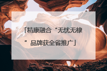 精康融合“无忧无棣”品牌获全省推广