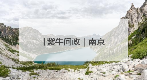 紫牛问政｜南京的这条路缘何留了200米不种树