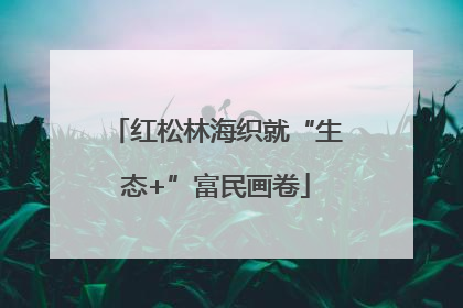 红松林海织就“生态+”富民画卷