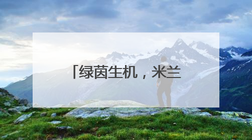 绿茵生机，米兰体育与阿拉维斯竞技达成合作