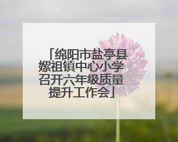 绵阳市盐亭县嫘祖镇中心小学召开六年级质量提升工作会