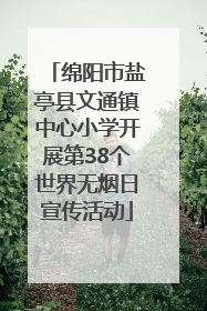 绵阳市盐亭县文通镇中心小学开展第38个世界无烟日宣传活动