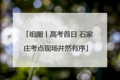 组图丨高考首日 石家庄考点现场井然有序