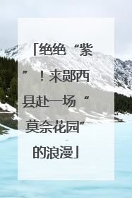 绝绝“紫”！来郧西县赴一场“莫奈花园”的浪漫