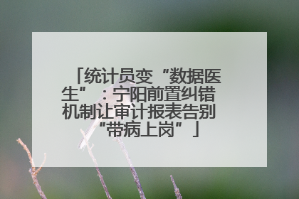 统计员变“数据医生”：宁阳前置纠错机制让审计报表告别“带病上岗”