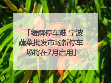 缓解停车难 宁波蔬菜批发市场新停车场将在7月启用
