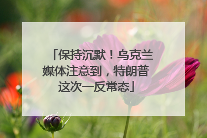 保持沉默！乌克兰媒体注意到，特朗普这次一反常态