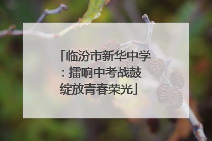 临汾市新华中学：擂响中考战鼓 绽放青春荣光