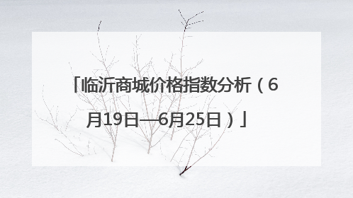 临沂商城价格指数分析（6月19日—6月25日）