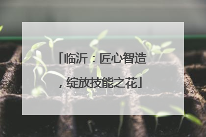 临沂：匠心智造，绽放技能之花