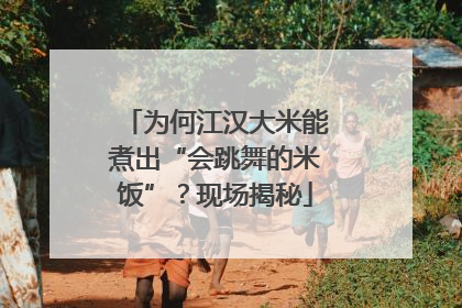 为何江汉大米能煮出“会跳舞的米饭”？现场揭秘