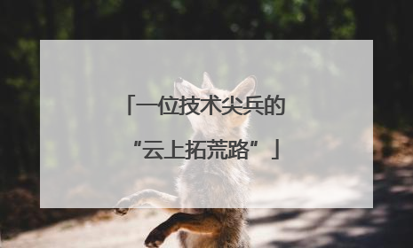 一位技术尖兵的“云上拓荒路”