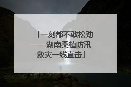一刻都不敢松劲——湖南桑植防汛救灾一线直击
