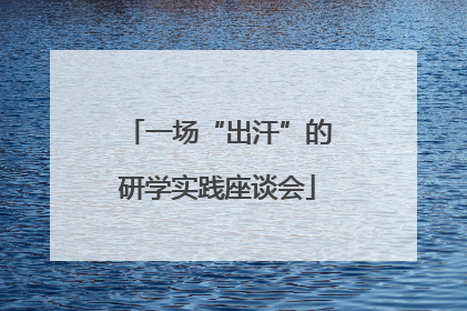 一场“出汗”的研学实践座谈会