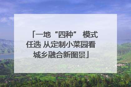 一地“四种” 模式任选 从定制小菜园看城乡融合新图景