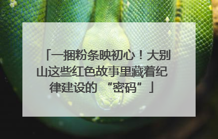一捆粉条映初心！大别山这些红色故事里藏着纪律建设的 “密码”