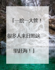 一挖一大筐！很多人来日照这里赶海！