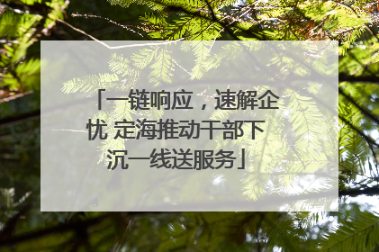 一链响应，速解企忧 定海推动干部下沉一线送服务