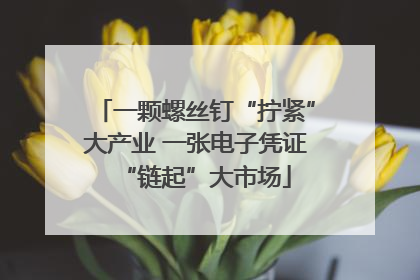 一颗螺丝钉“拧紧”大产业 一张电子凭证“链起”大市场