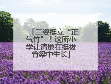三姿挺立“正气竹”！这所小学让清廉在挺拔脊梁中生长
