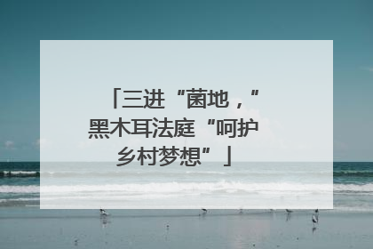 三进“菌地，”黑木耳法庭“呵护乡村梦想”