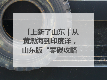 上新了山东｜从黄渤海到印度洋，山东版“零碳攻略”有多能打？