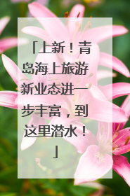 上新！青岛海上旅游新业态进一步丰富，到这里潜水！