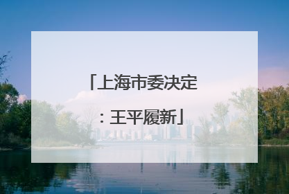 上海市委决定：王平履新