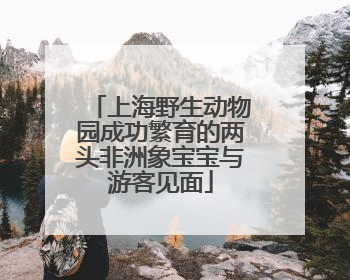 上海野生动物园成功繁育的两头非洲象宝宝与游客见面