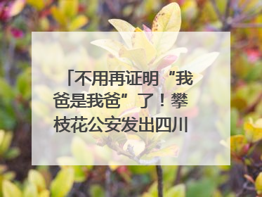 不用再证明“我爸是我爸”了！攀枝花公安发出四川首张“户籍人口直系亲属关系谱”