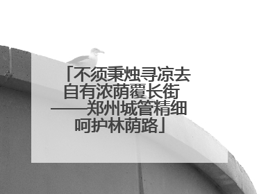 不须秉烛寻凉去 自有浓荫覆长街——郑州城管精细呵护林荫路