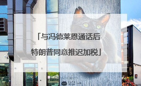 与冯德莱恩通话后 特朗普同意推迟加税