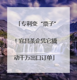 专利变“票子”！宜昌茶企凭它撬动千万出口订单