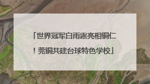 世界冠军白雨露亮相铜仁！莞铜共建台球特色学校