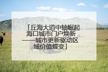 丘海大道中轴崛起 海口城市门户焕新——城市更新驱动区域价值蝶变