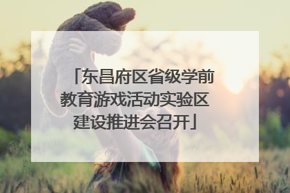 东昌府区省级学前教育游戏活动实验区建设推进会召开