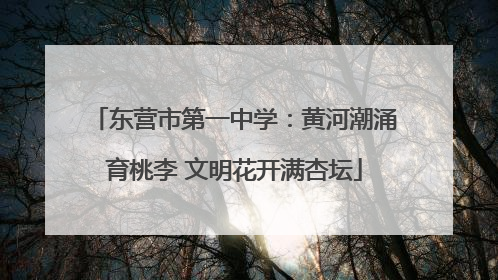 东营市第一中学：黄河潮涌育桃李 文明花开满杏坛