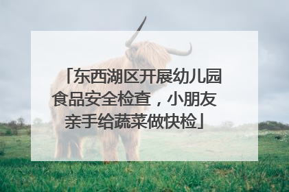 东西湖区开展幼儿园食品安全检查，小朋友亲手给蔬菜做快检