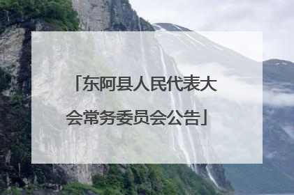 东阿县人民代表大会常务委员会公告