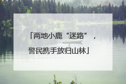 两地小鹿“迷路”，警民携手放归山林