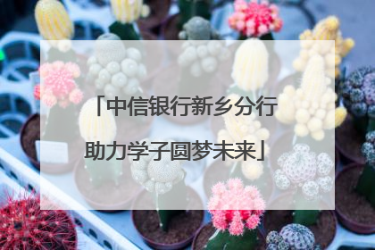 中信银行新乡分行助力学子圆梦未来