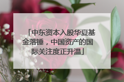 中东资本入股华夏基金落锤，中国资产的国际关注度正升温