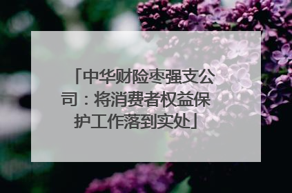 中华财险枣强支公司：将消费者权益保护工作落到实处