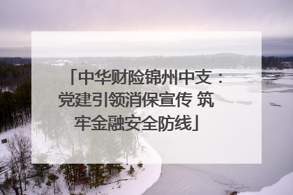 中华财险锦州中支：党建引领消保宣传 筑牢金融安全防线