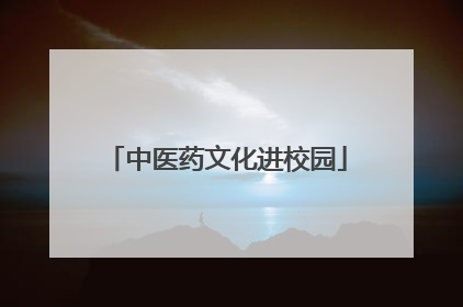 中医药文化进校园