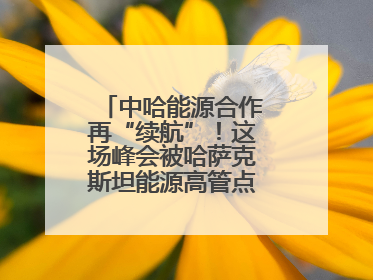 中哈能源合作再“续航”！这场峰会被哈萨克斯坦能源高管点赞“加油”