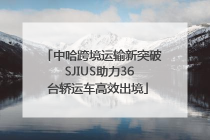 中哈跨境运输新突破 SJIUS助力36台轿运车高效出境