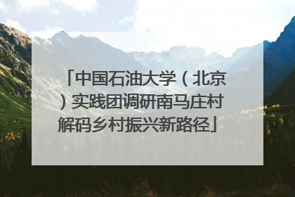 中国石油大学（北京）实践团调研南马庄村解码乡村振兴新路径