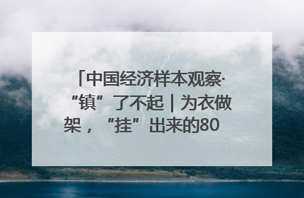 中国经济样本观察·“镇”了不起｜为衣做架，“挂”出来的80亿元“衣架产业”